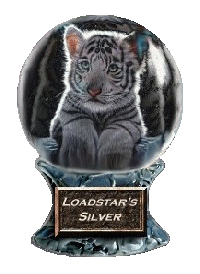 Lodestar's Silver Award